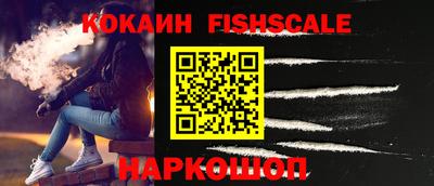 гидра Будённовск