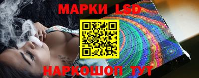 гидра Будённовск