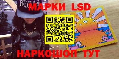 гидра Будённовск