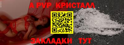 гидра Будённовск
