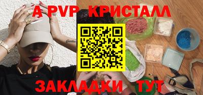 гидра Будённовск